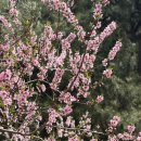 여기바다A 이미지