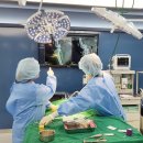 칠곡종합동물병원 이미지