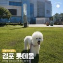 안스힐링센타 | 김포공항 롯데몰 주차 펫모차 대여 자라 고디바 애견동반 쇼핑
