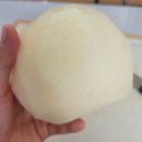 세븐일레븐 울산서생화산점 | 9월초부터 10월초까지 한달만 맛볼수있는 울산 서생배 황금배