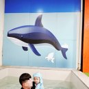 라비주 키즈풀빌라 | 경주 아이들과 같이 가기좋은 숙소 벤투스 키즈 풀빌라 후기