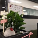 시스멕스 코리아(대전 사무소) | 광주, 대전 찍고 서울