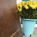 세컨드밀