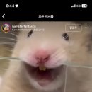 일산게임랜드 이미지