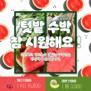 텃밭식자재할인마트
