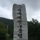 구룡령 옛길 이미지