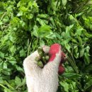 연한농장 이미지