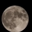 푸른수퍼 이미지