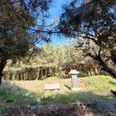 월성박씨종중묘역 이미지