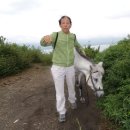 서대전농협주유소 이미지