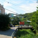 동막동(4) 이미지