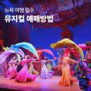 알라딘 | 뉴욕 여행 뮤지컬 예매 방법 총정리! 로터리 TKTS 비교 알라딘 후기