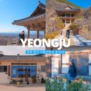 92 | 경북 영주 가볼만한곳 1박2일 여행코스 총정리!