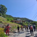 지리산 바래봉 철쭉 축제기간에 꽃은 없고 어찌 이런일이! 이미지