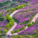 산청 합천 황매산 철쭉축제 모산재 철쭉제 등산코스 개화시기 이미지