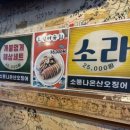 소풍나온산오징어