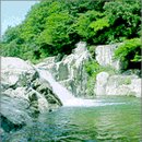 대천천2 이미지