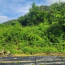 고성 1 공인중개사사무소 이미지