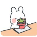 연세대학교 간호대학원 이미지