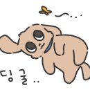 거북통닭