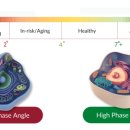 블러썸PT 이미지