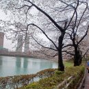 석촌 호수 왔심더♧ 이미지