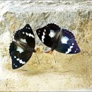 다정한오후 이미지