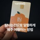 진흥카서비스 | 탐나는전 제주여행 단체, 개별 지원,온라인 결제 구입 방법