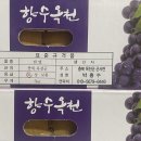 박흥수농장 네이버블로그