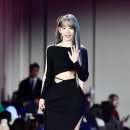 사쿠라 이미지