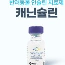 양천동물약국 이미지