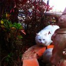 파로스펜션 이미지