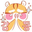 복싱is심플 이미지