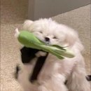 만나식당 이미지