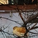 용두천로44길 이미지