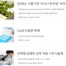 지플러스 이미지