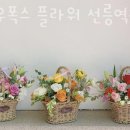 스노우폭스플라워 이미지
