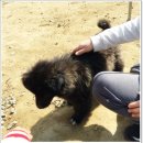 철만농장 이미지