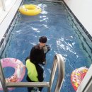 보문달 | 경주 풀빌라 펜션 더보문 온천 개인수영장 찜질방 끝났네