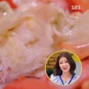 속초365 티스토리