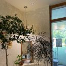 금남면_호탄리 마을회관 이미지