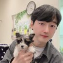 멍벤져스 이미지