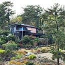 탐나민박 이미지