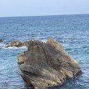 돌고래당구장 이미지