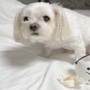 메리앤래리 이미지