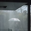 호우주의보(RAINREPORT) 이미지