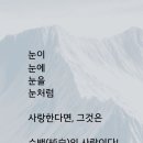 지난 오늘 글 (1월28일) 이미지