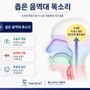 소릿길40년 네이버블로그