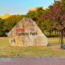 경북대학교 테크노파크 정문 | 대구 단풍 명소 경북대 센트럴파크 피크닉 데이트 추천