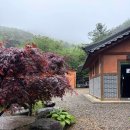 양산 법천사 다녀온 후기 - 금정산 자락 조용한 천년 사찰, 가는 길·주차 정리
